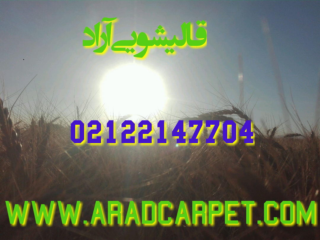 قالیشویی قالیشویی سعادت آباد ۲۲۱۴۷۷۰۴