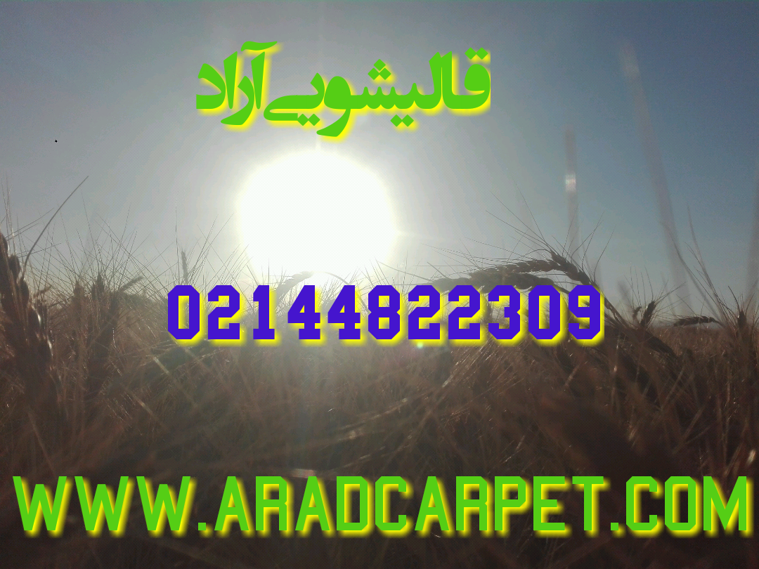قالیشویی قالیشویی شهرک آزادی 44535905