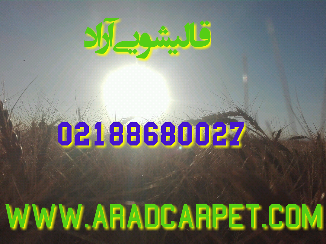 قالیشویی قالیشویی در منطقه محدوده حوالی کوی دانشگاه 88680027