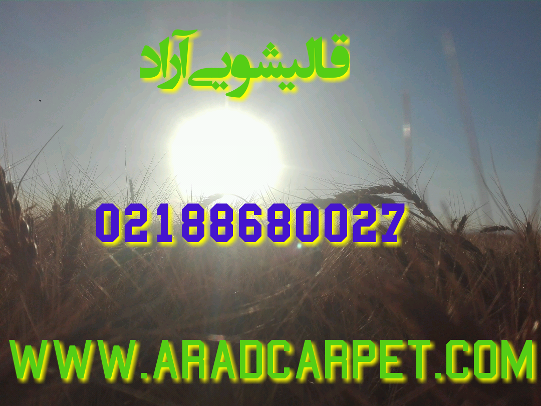 قالیشویی نزدیکترین قالیشویی به طالقانی 88680027