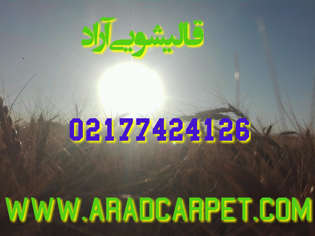 قالیشویی قالیشویی در عشرت آباد 88680027