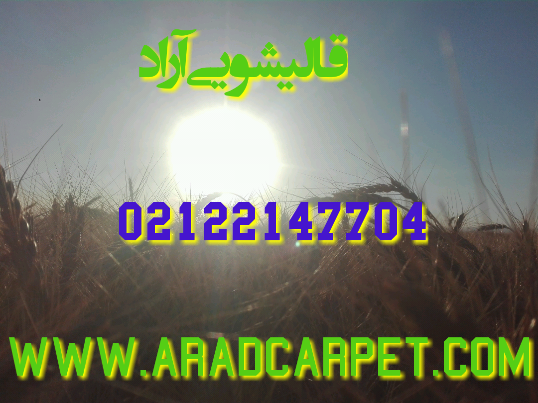 قالیشویی یکی از قدیمترین قالیشویی های تهران 22147704