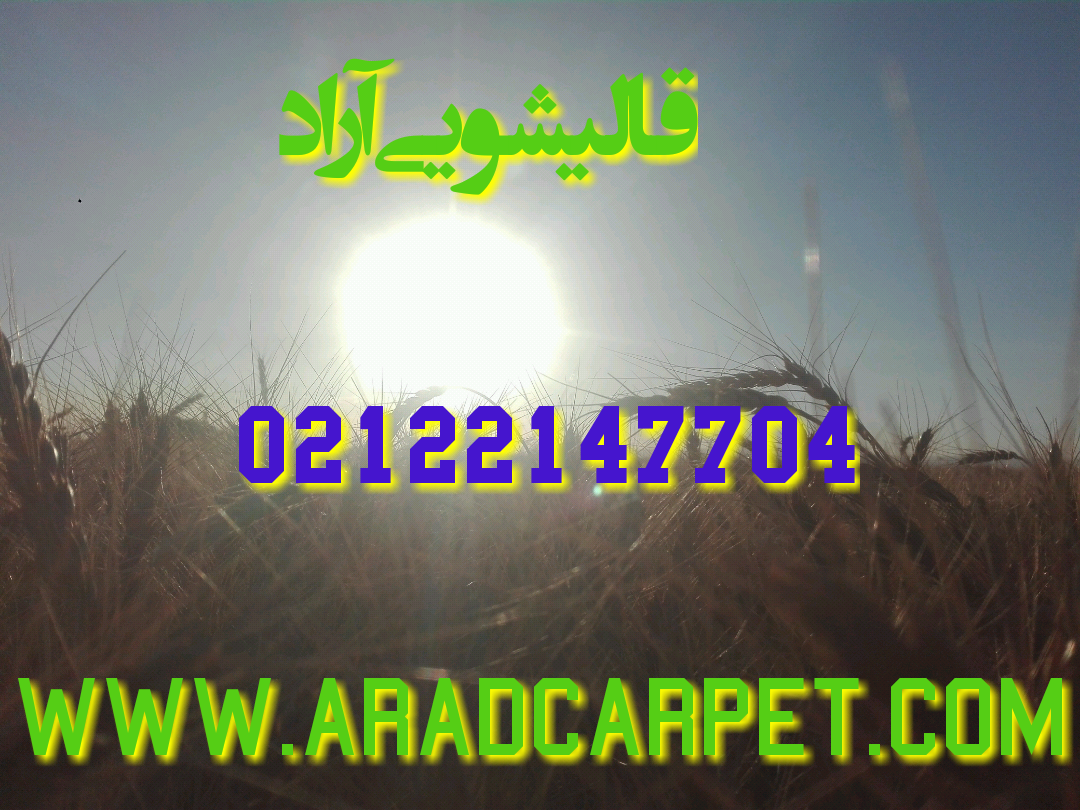 قالیشویی قالیشویی در اتوبان بابایی 22147704 ⭐⭐⭐⭐⭐