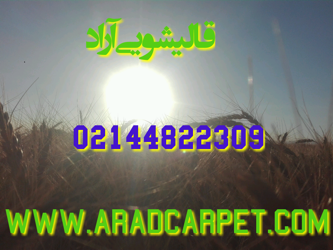 قالیشویی قالیشویی در اتوبان حکیم 44822309 ⭐⭐⭐⭐⭐