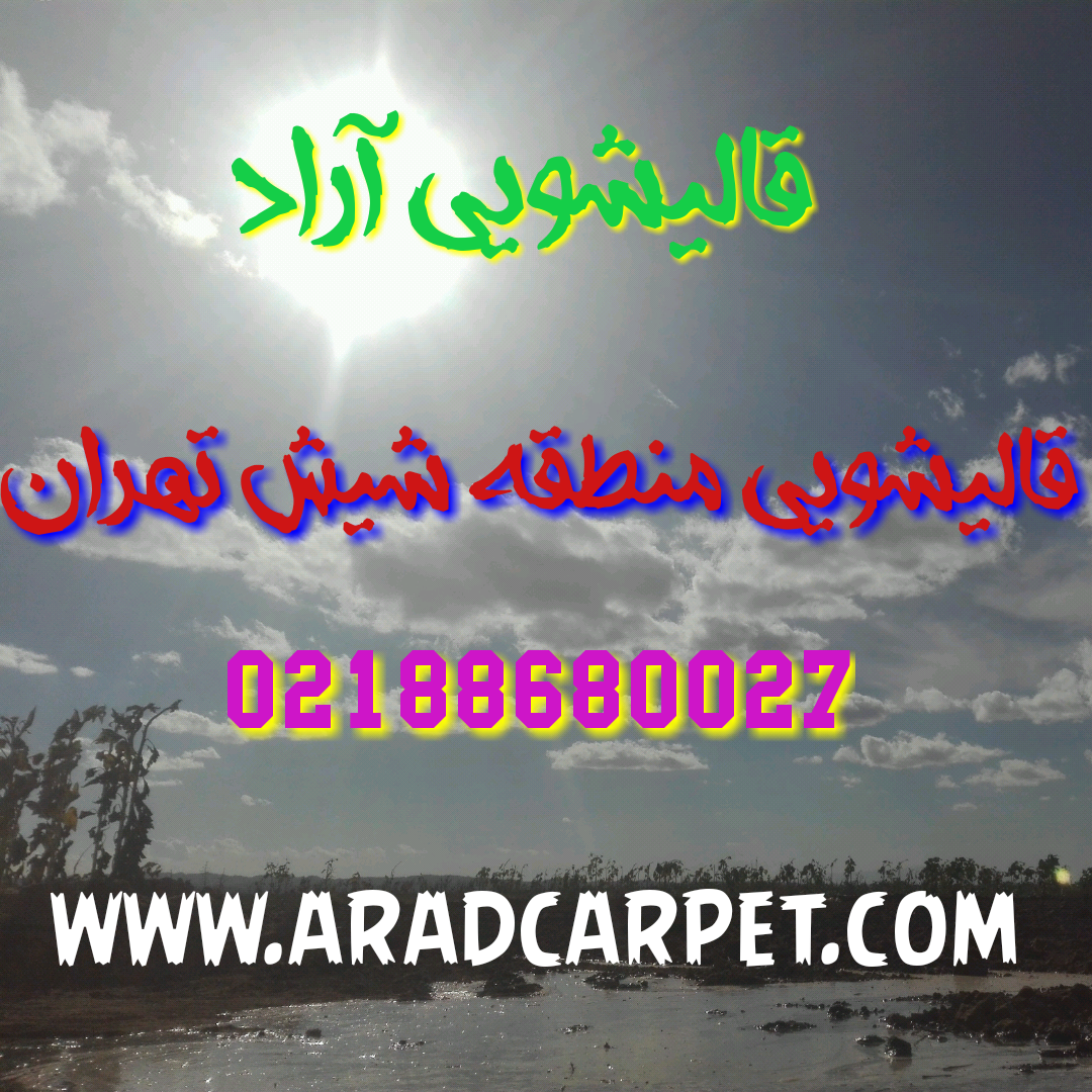 قالیشویی قالیشویی در منطقه شیش تهران 88680027